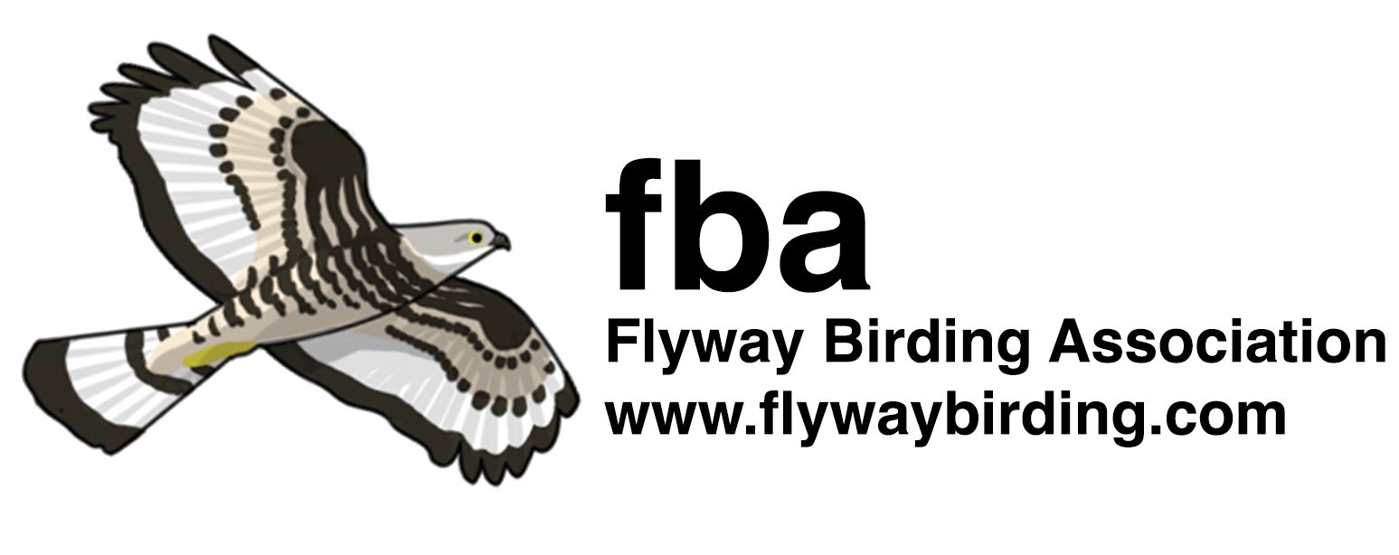 The Flyway Birding Association